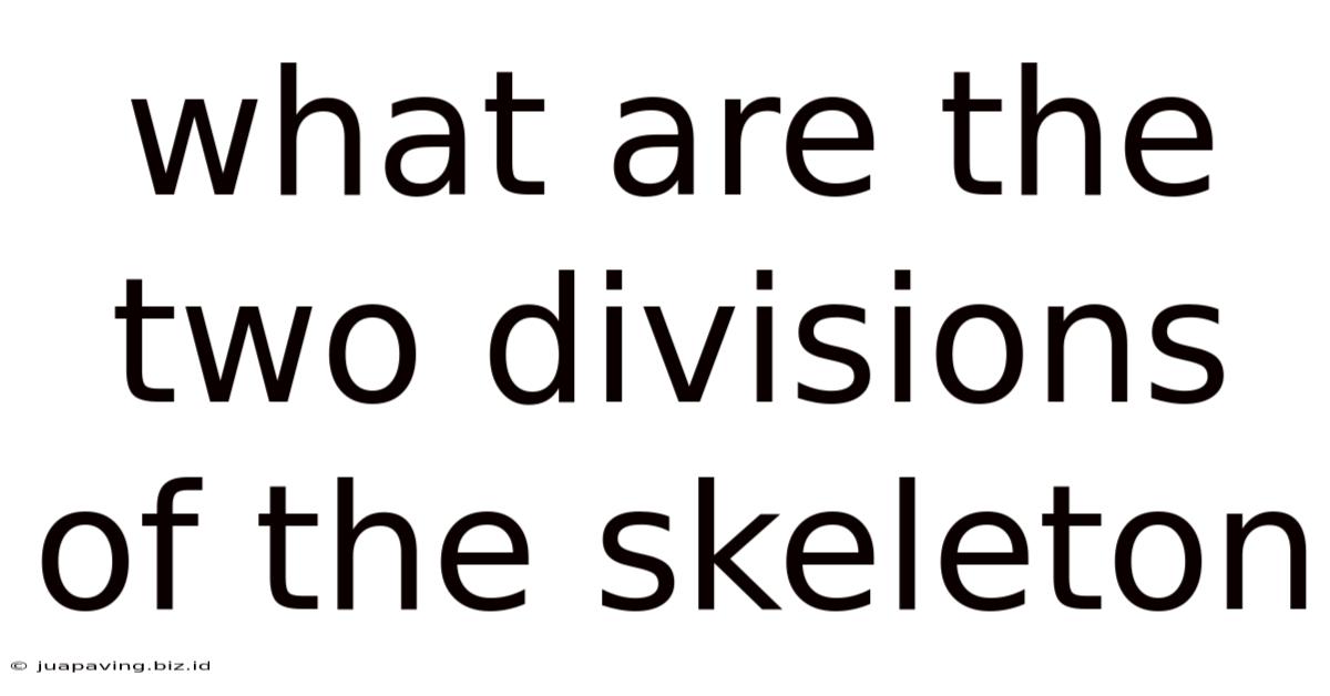 What Are The Two Divisions Of The Skeleton
