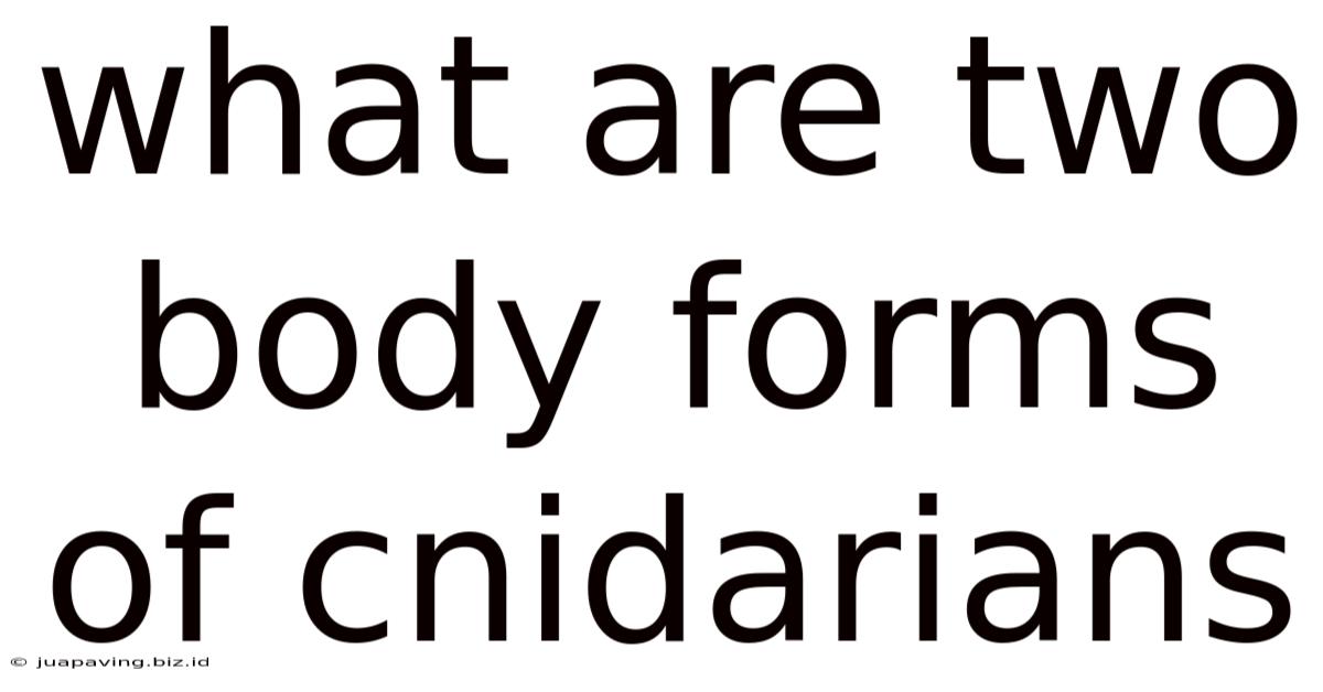 What Are Two Body Forms Of Cnidarians