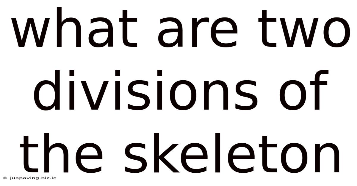 What Are Two Divisions Of The Skeleton