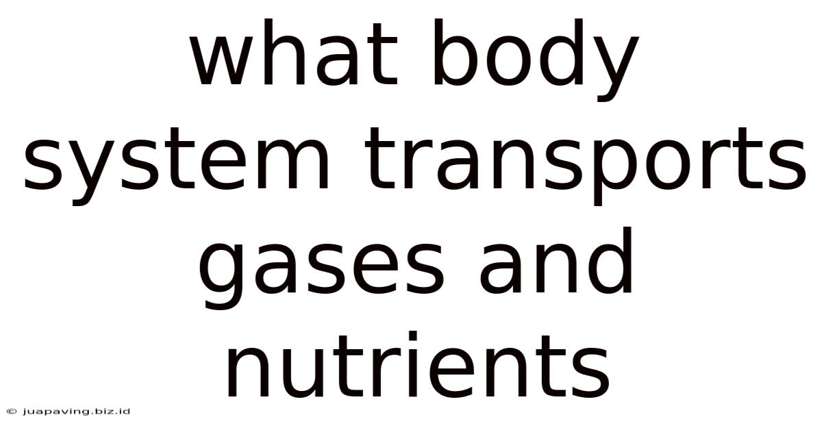 What Body System Transports Gases And Nutrients