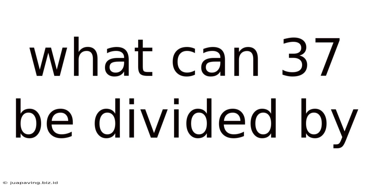What Can 37 Be Divided By