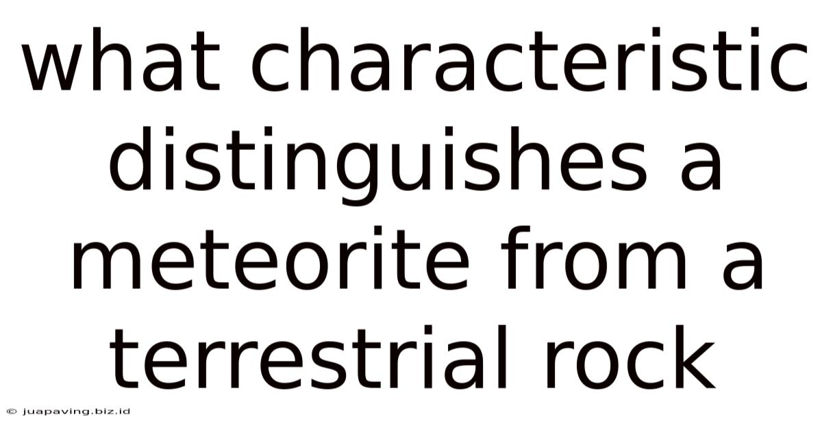What Characteristic Distinguishes A Meteorite From A Terrestrial Rock