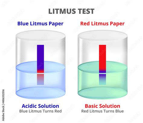 What Color Do Acids Turn Litmus Paper