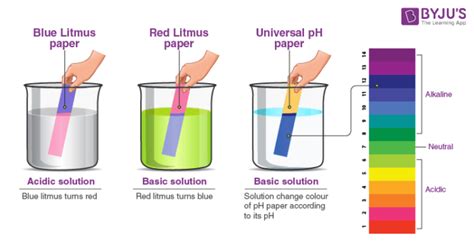 What Color Does Litmus Paper Turn In Nuetral