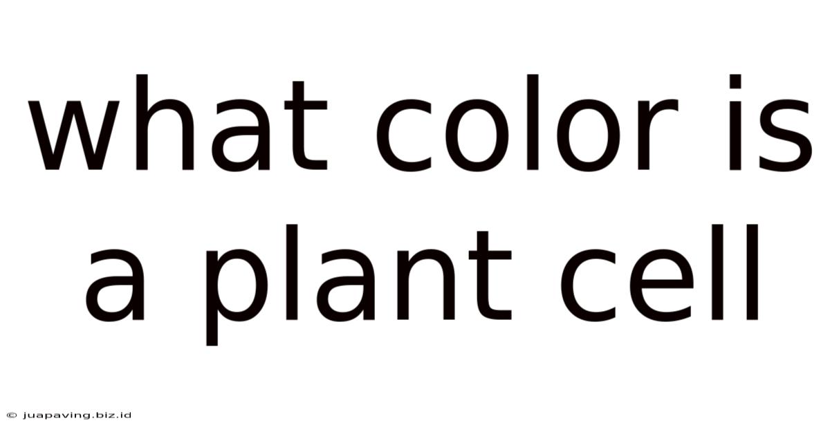 What Color Is A Plant Cell