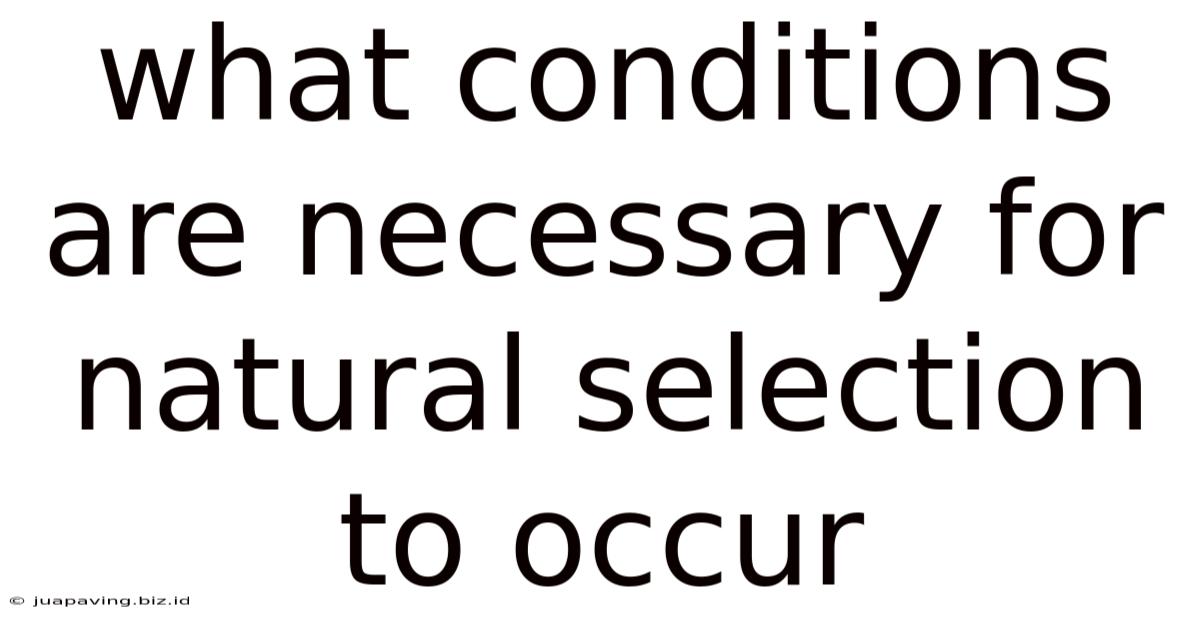 What Conditions Are Necessary For Natural Selection To Occur