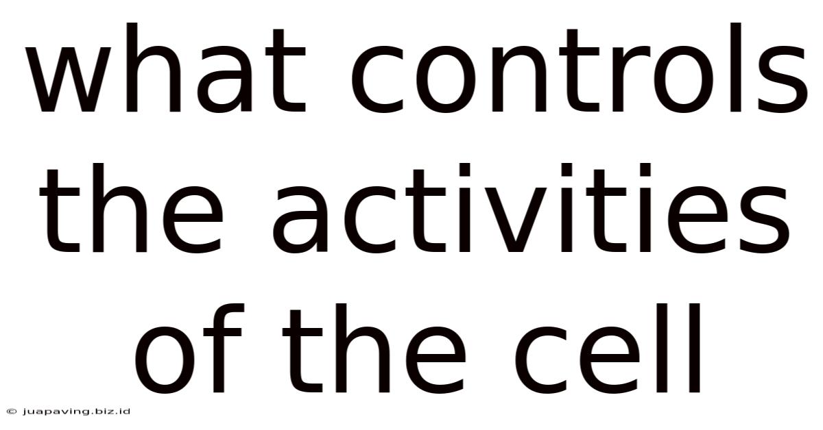 What Controls The Activities Of The Cell