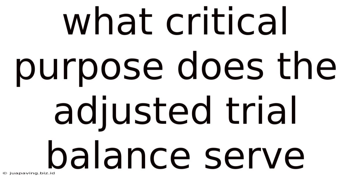What Critical Purpose Does The Adjusted Trial Balance Serve
