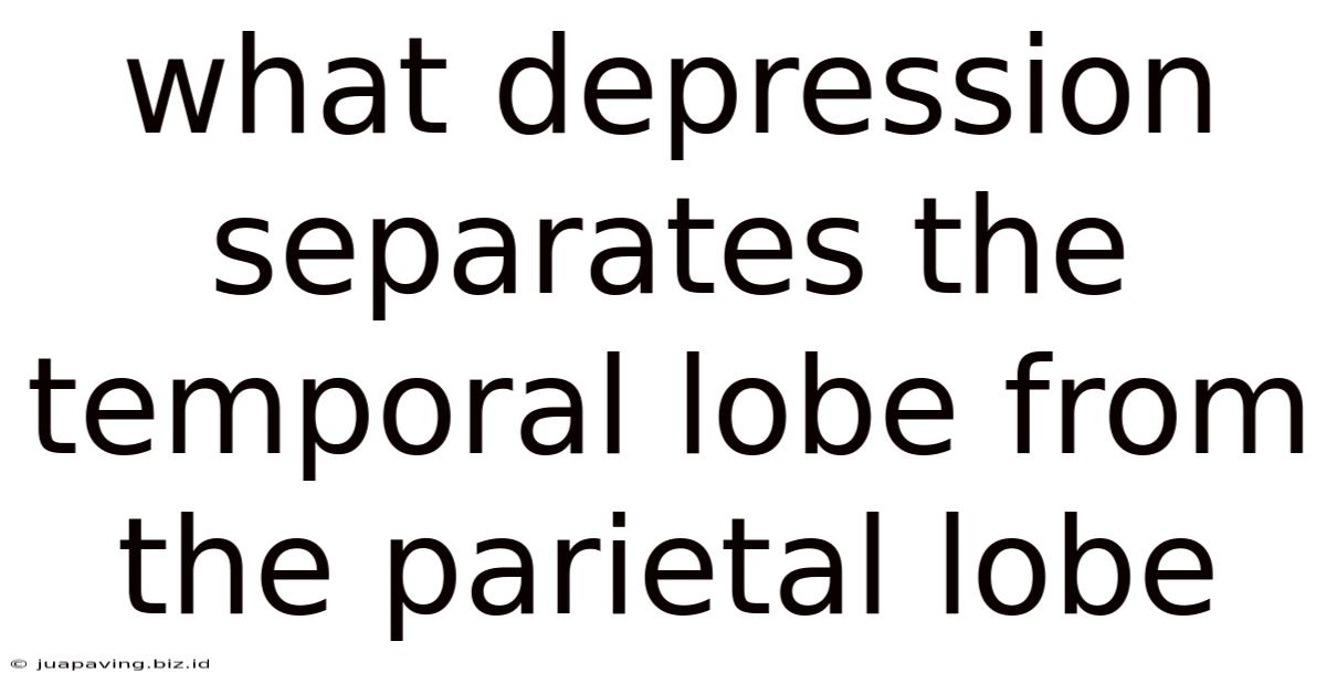 What Depression Separates The Temporal Lobe From The Parietal Lobe