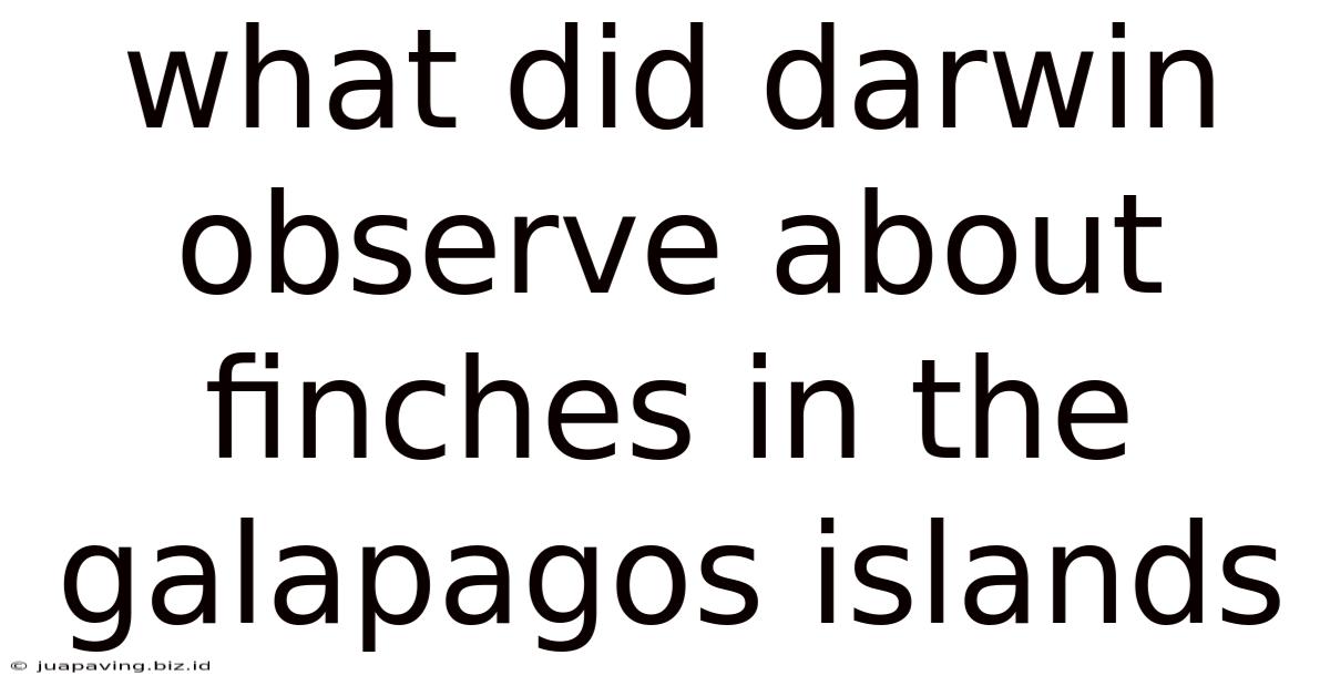 What Did Darwin Observe About Finches In The Galapagos Islands