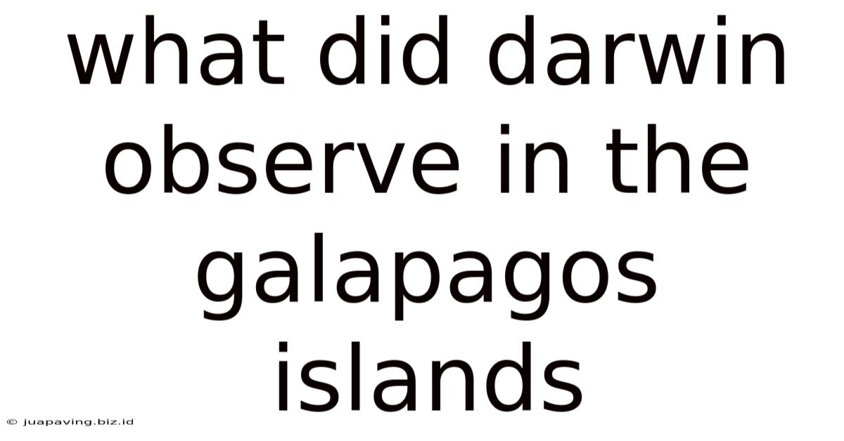 What Did Darwin Observe In The Galapagos Islands