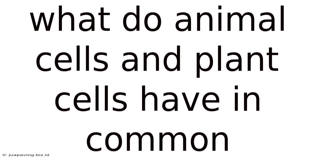 What Do Animal Cells And Plant Cells Have In Common