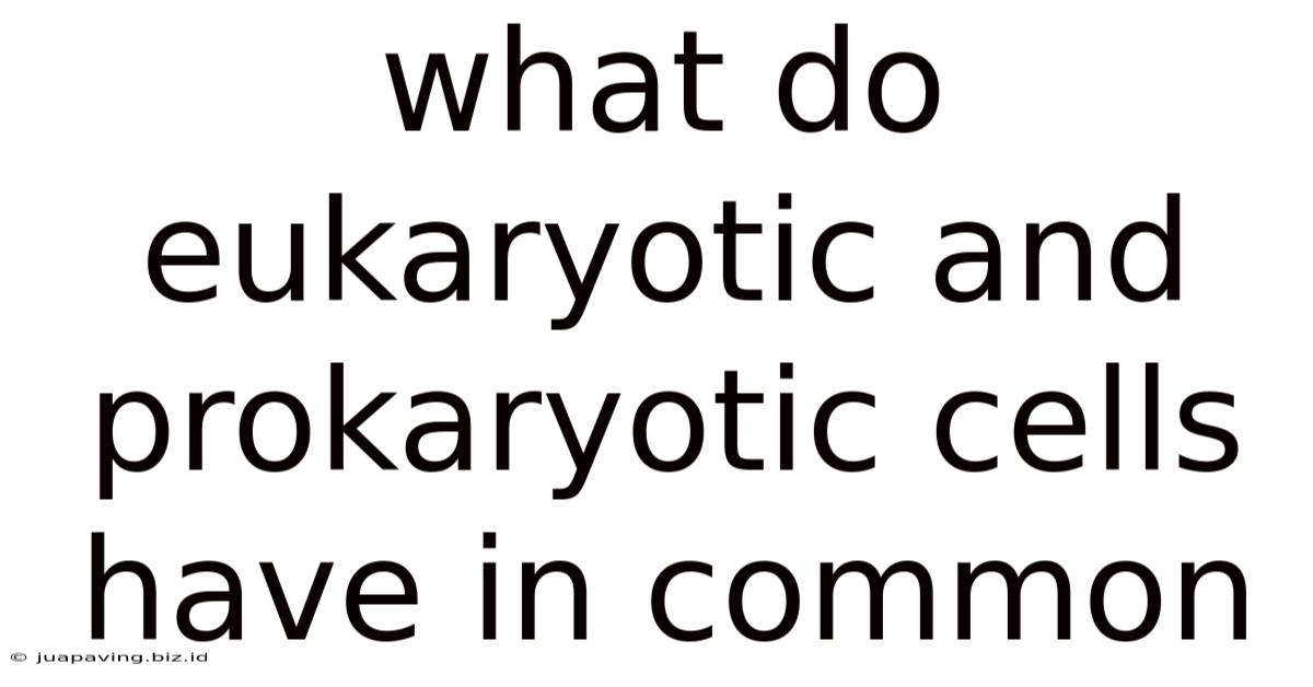 What Do Eukaryotic And Prokaryotic Cells Have In Common