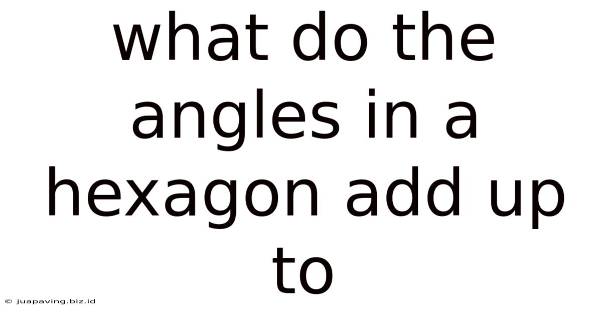 What Do The Angles In A Hexagon Add Up To