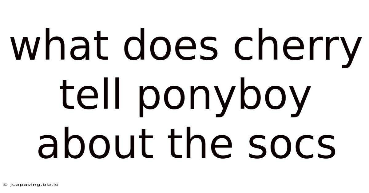 What Does Cherry Tell Ponyboy About The Socs