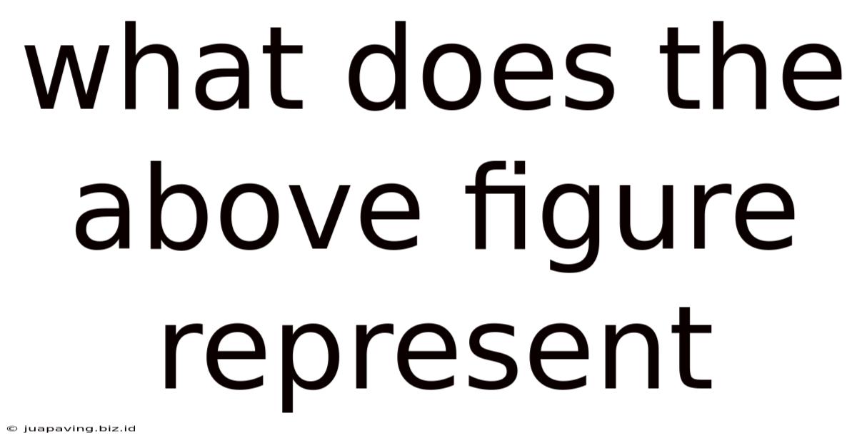 What Does The Above Figure Represent