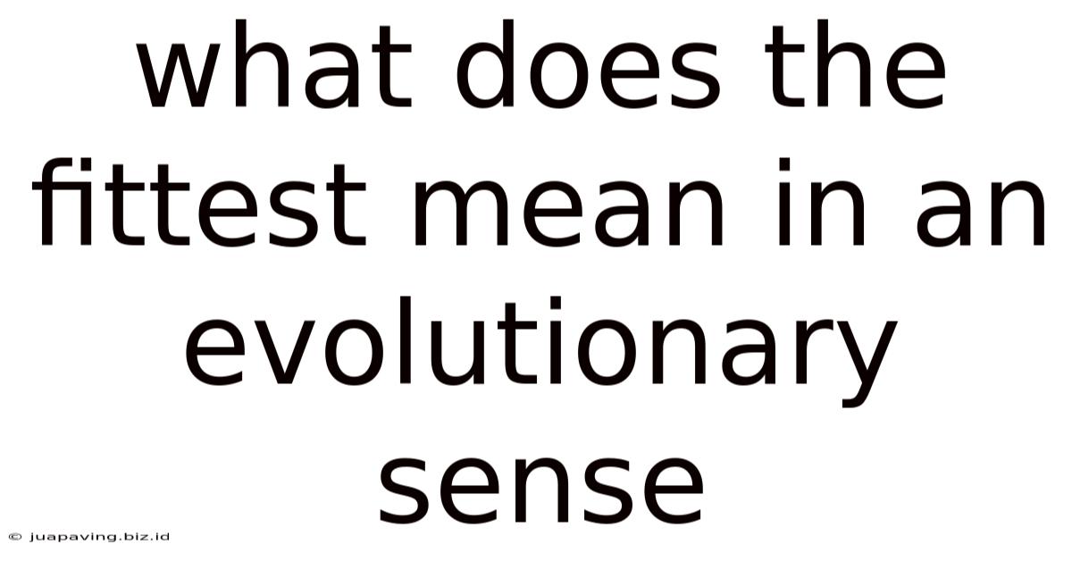 What Does The Fittest Mean In An Evolutionary Sense