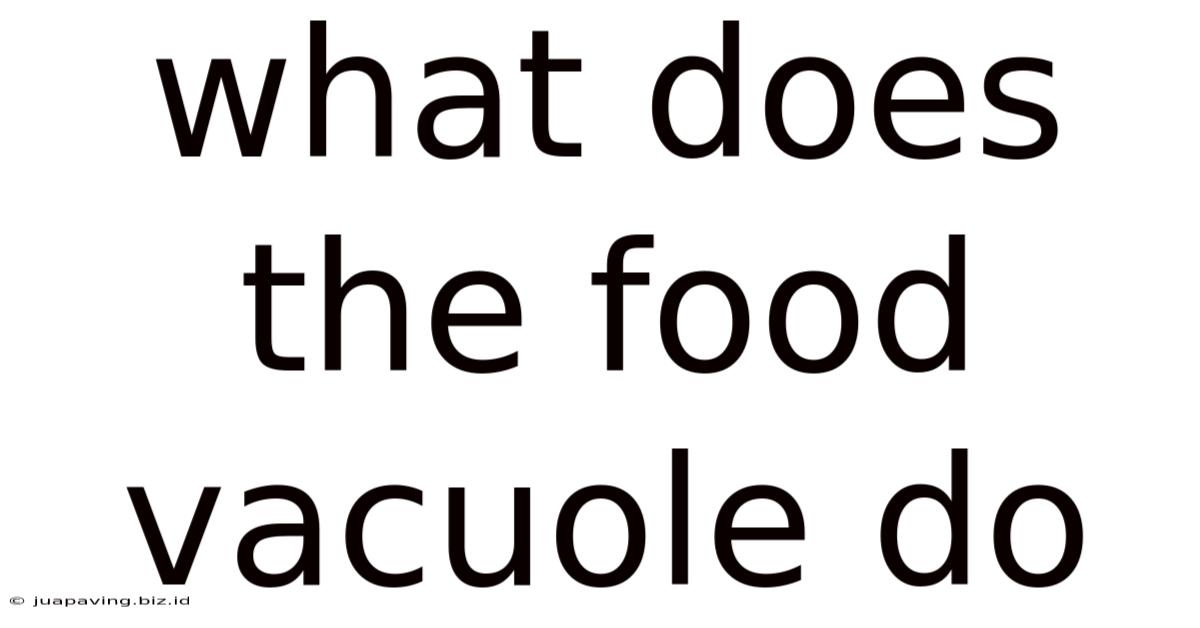 What Does The Food Vacuole Do