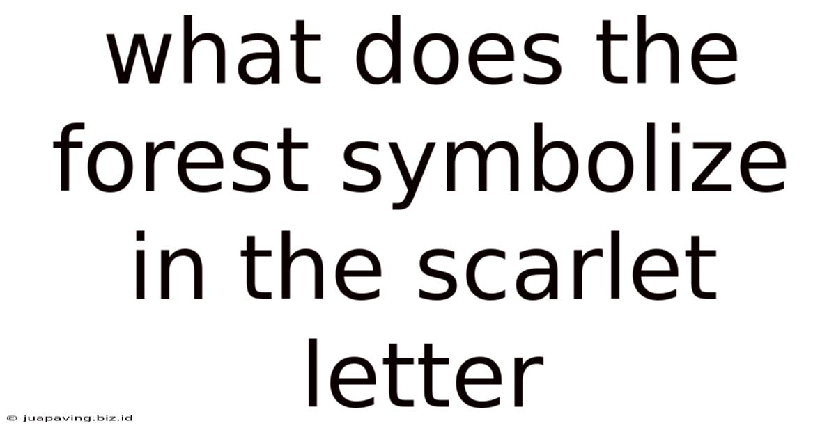 What Does The Forest Symbolize In The Scarlet Letter