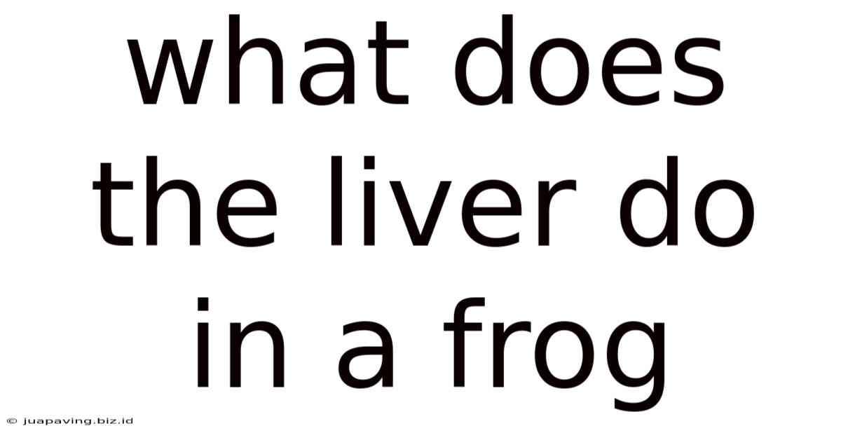 What Does The Liver Do In A Frog
