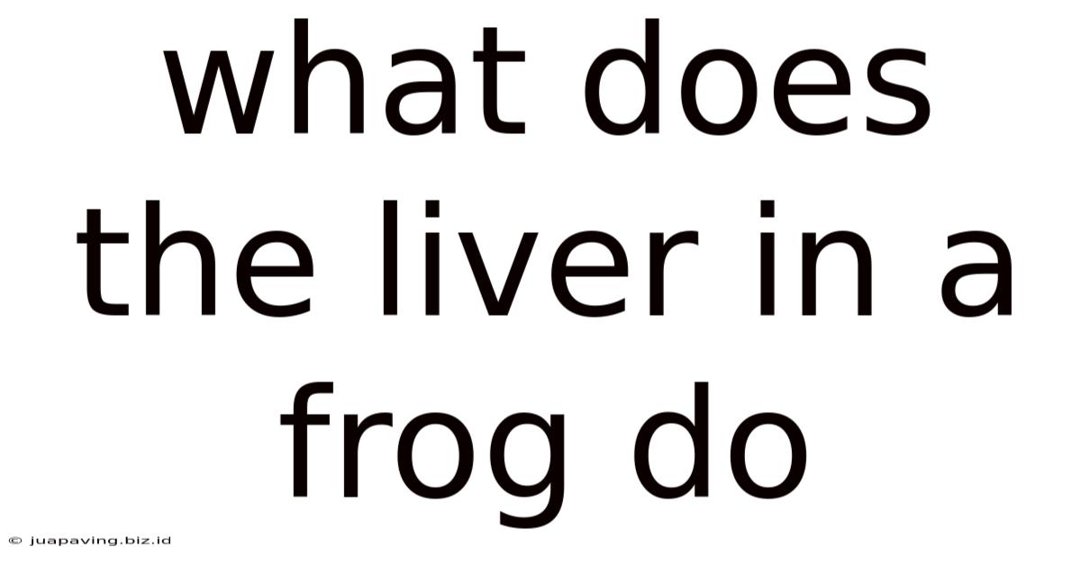 What Does The Liver In A Frog Do