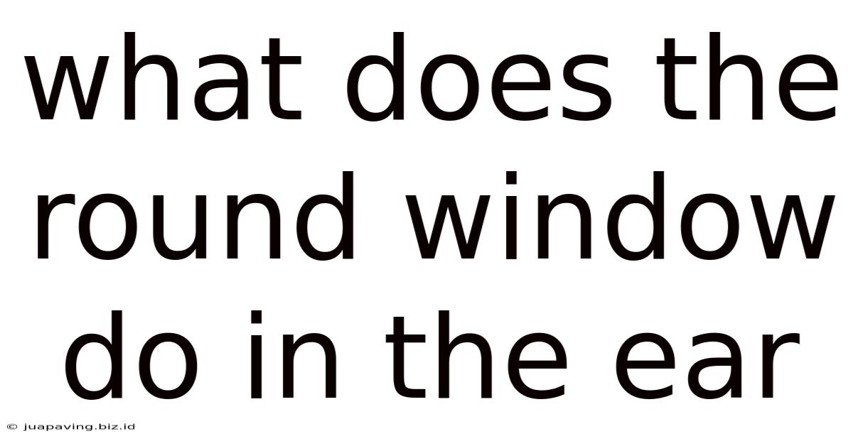 What Does The Round Window Do In The Ear