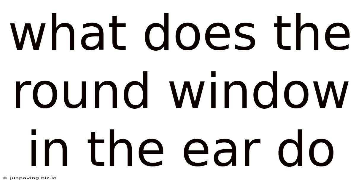 What Does The Round Window In The Ear Do
