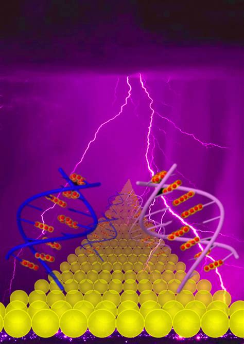 What Electrical Charge Does Dna Have