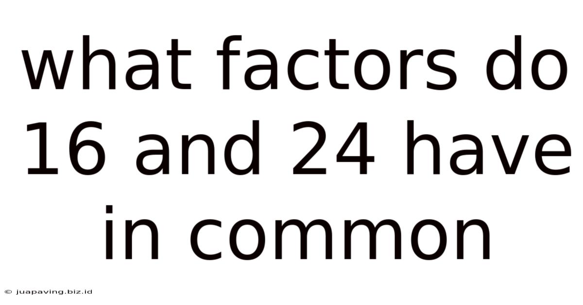 What Factors Do 16 And 24 Have In Common