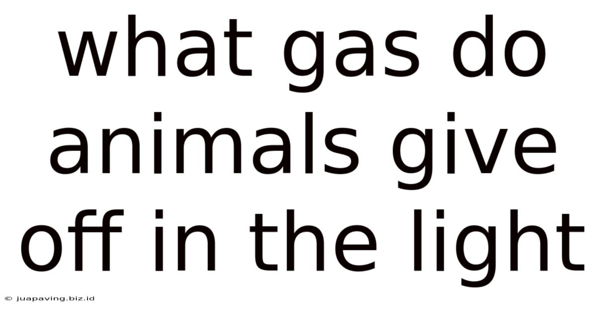 What Gas Do Animals Give Off In The Light