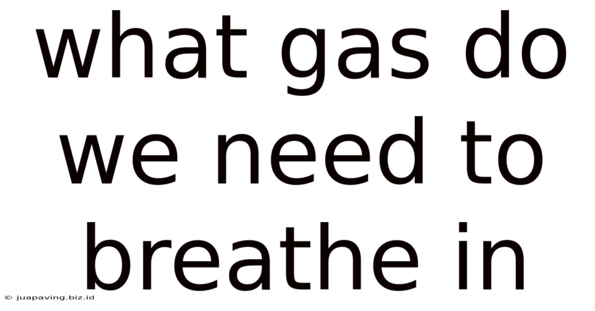 What Gas Do We Need To Breathe In