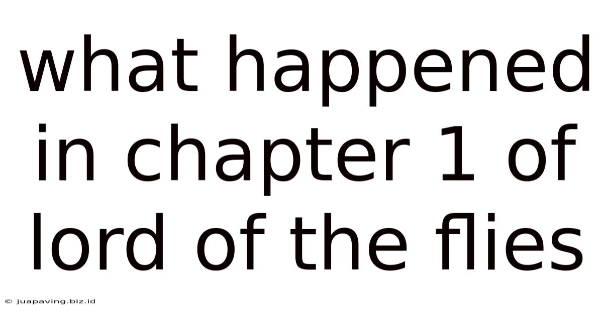 What Happened In Chapter 1 Of Lord Of The Flies
