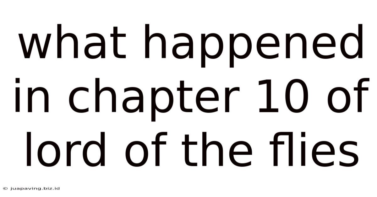 What Happened In Chapter 10 Of Lord Of The Flies