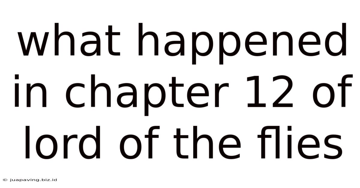 What Happened In Chapter 12 Of Lord Of The Flies