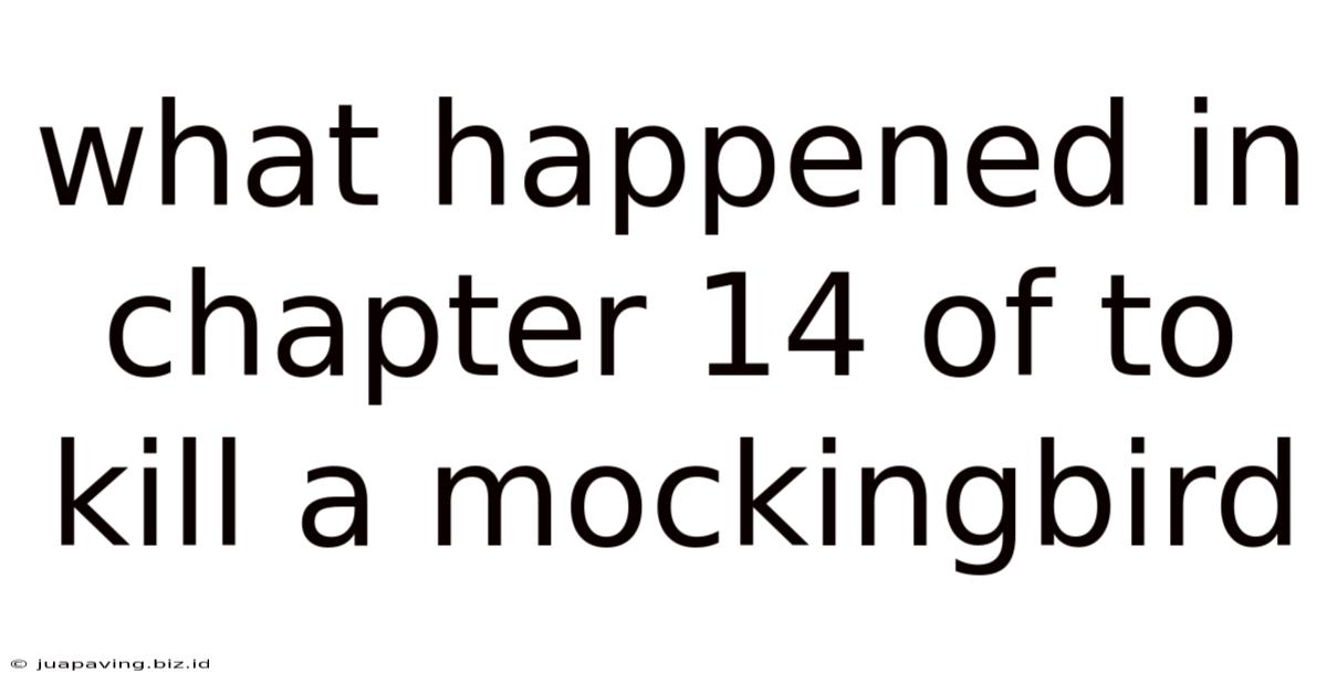 What Happened In Chapter 14 Of To Kill A Mockingbird