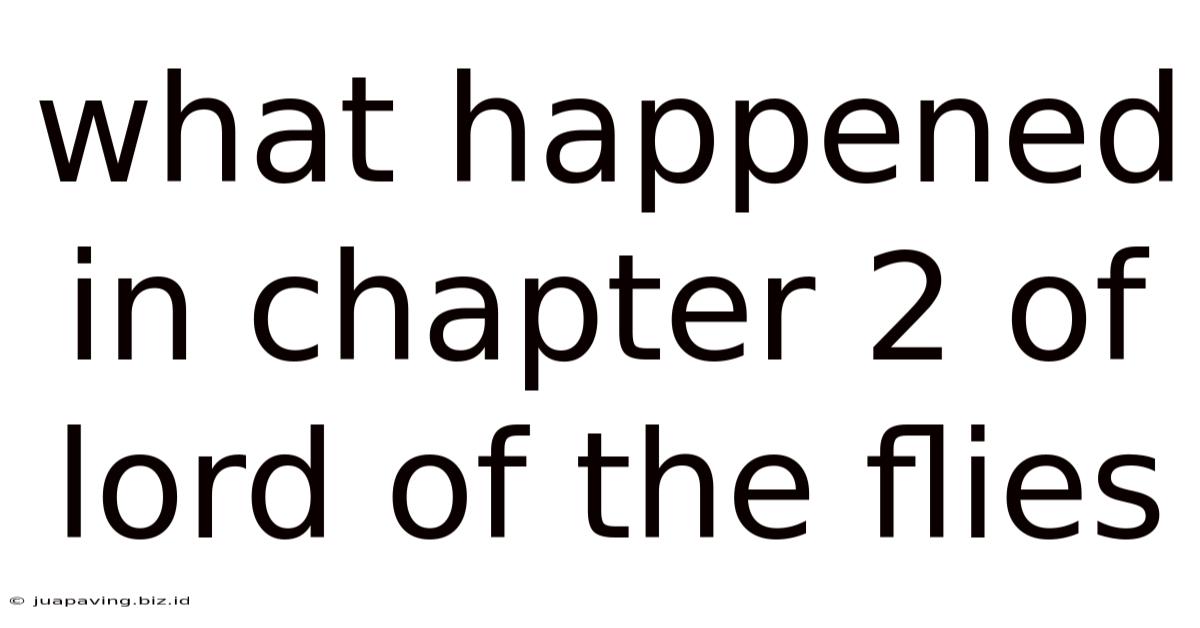 What Happened In Chapter 2 Of Lord Of The Flies