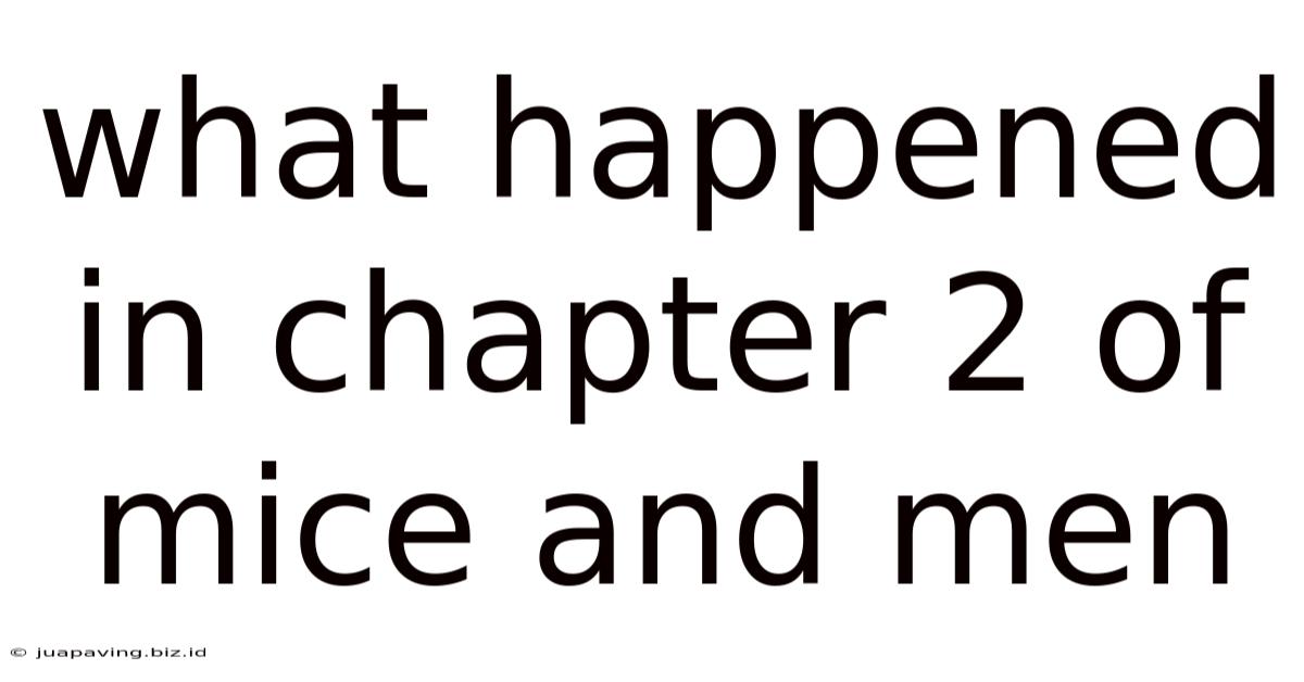 What Happened In Chapter 2 Of Mice And Men