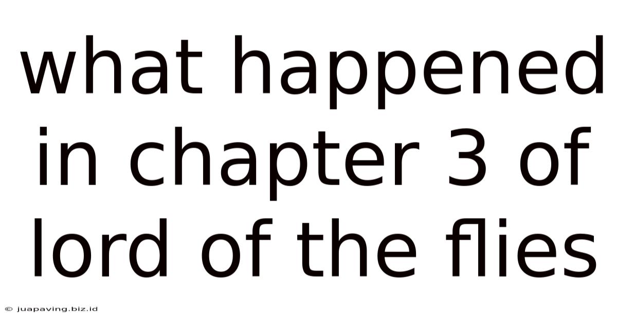 What Happened In Chapter 3 Of Lord Of The Flies