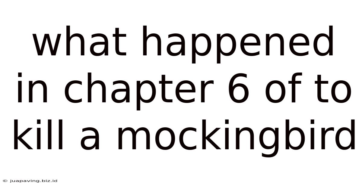What Happened In Chapter 6 Of To Kill A Mockingbird