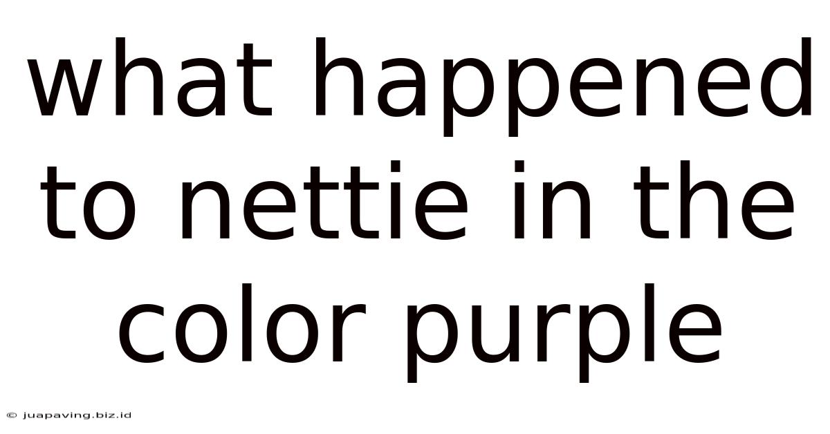 What Happened To Nettie In The Color Purple