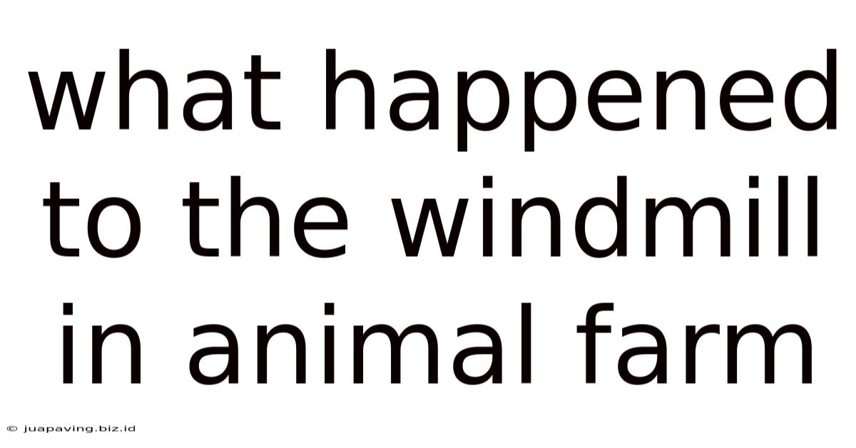 What Happened To The Windmill In Animal Farm