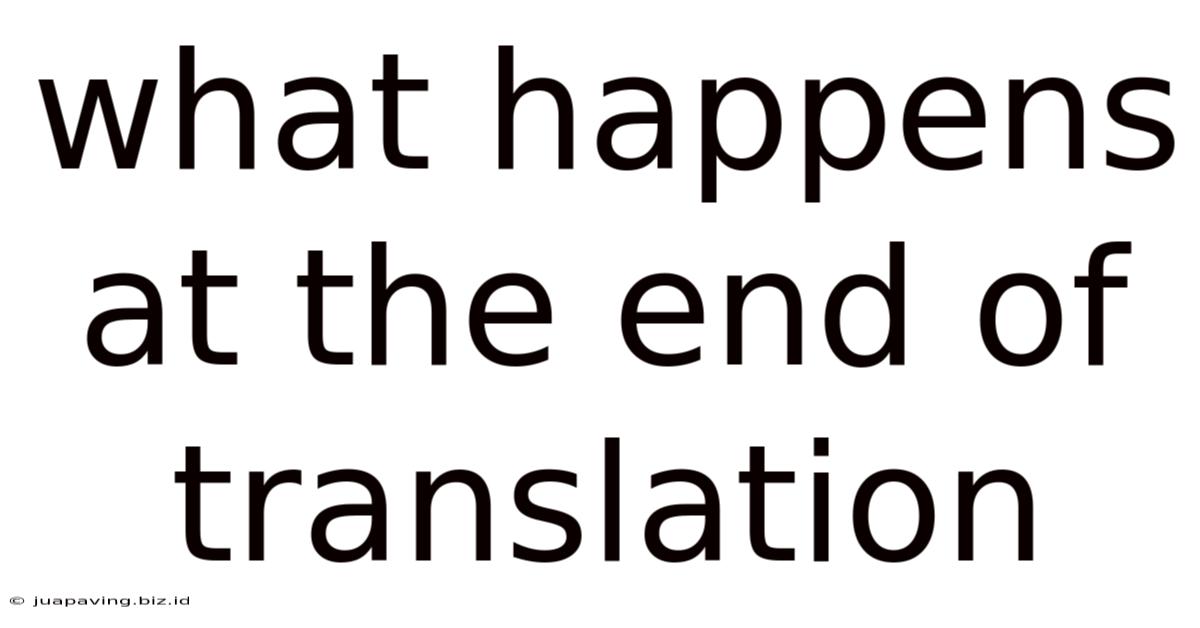 What Happens At The End Of Translation