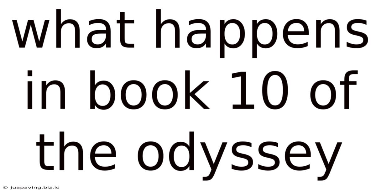 What Happens In Book 10 Of The Odyssey