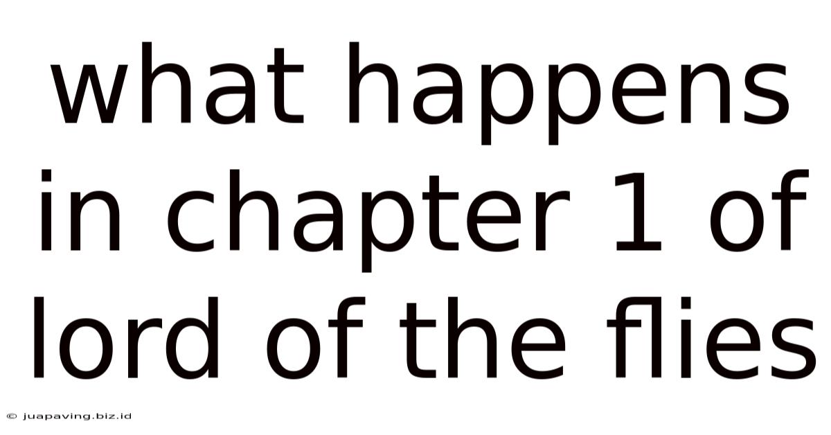 What Happens In Chapter 1 Of Lord Of The Flies