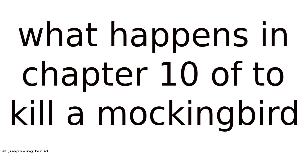What Happens In Chapter 10 Of To Kill A Mockingbird