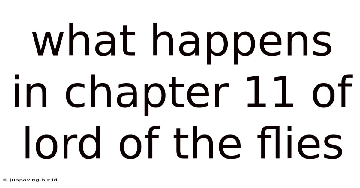 What Happens In Chapter 11 Of Lord Of The Flies