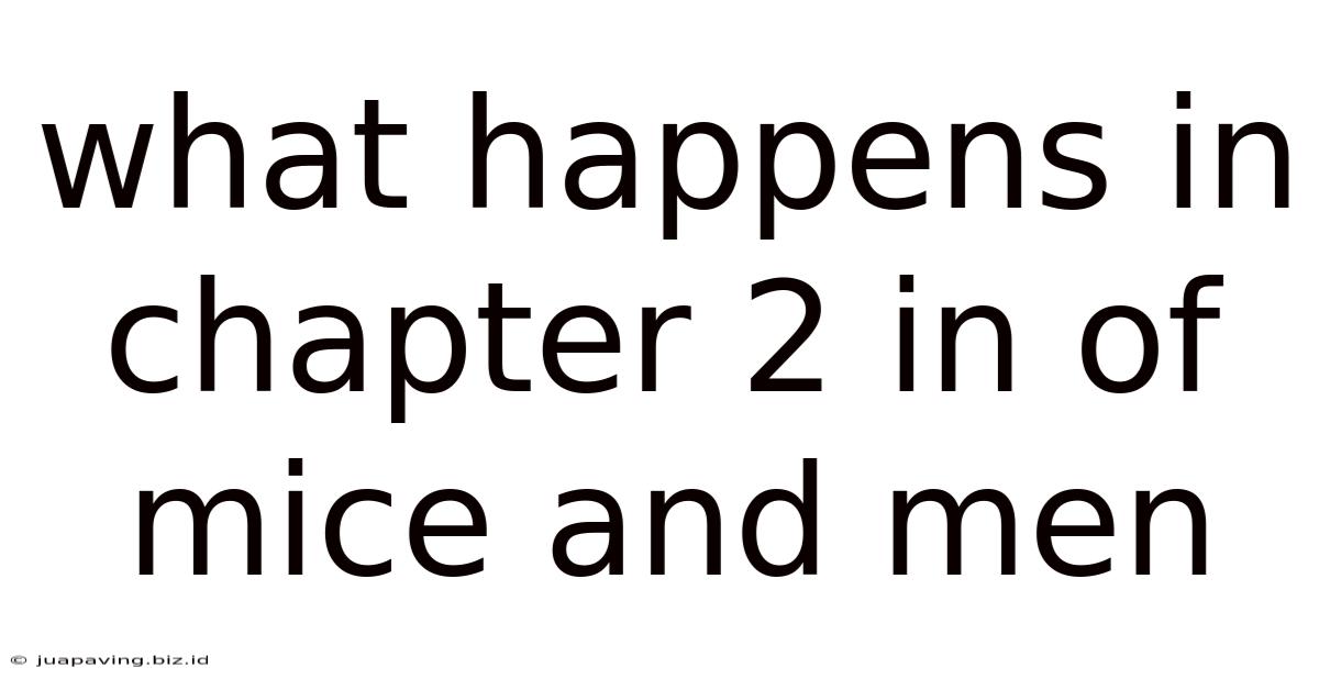 What Happens In Chapter 2 In Of Mice And Men
