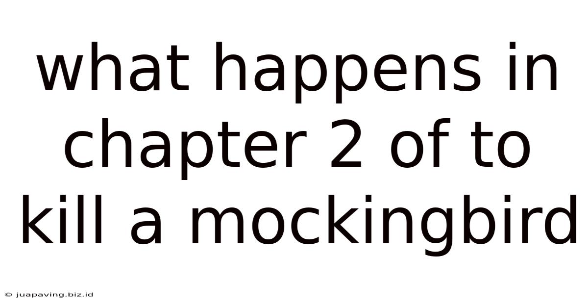 What Happens In Chapter 2 Of To Kill A Mockingbird
