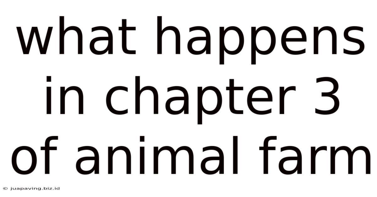 What Happens In Chapter 3 Of Animal Farm