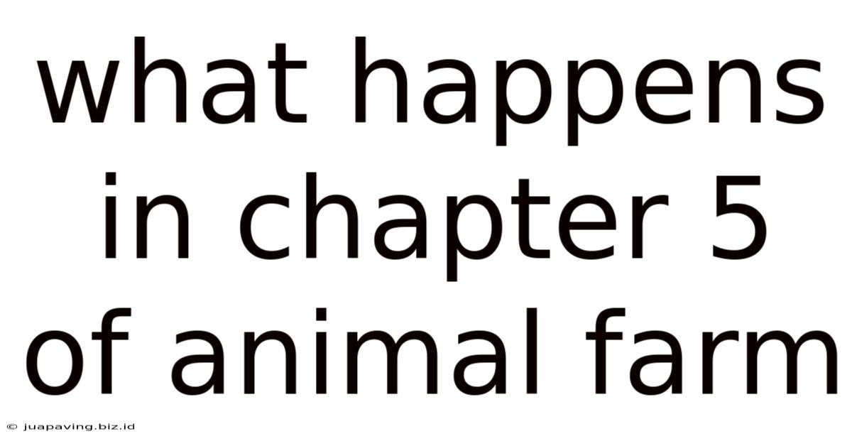 What Happens In Chapter 5 Of Animal Farm